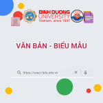 Văn bản - Biểu mẫu